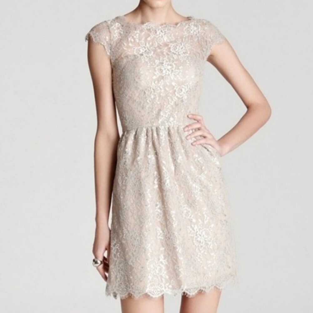 Aidan Mattox Metallic Lace Mini Dress in Silver and Tan Size 4 Like New EUC